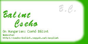 balint cseho business card