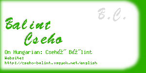 balint cseho business card